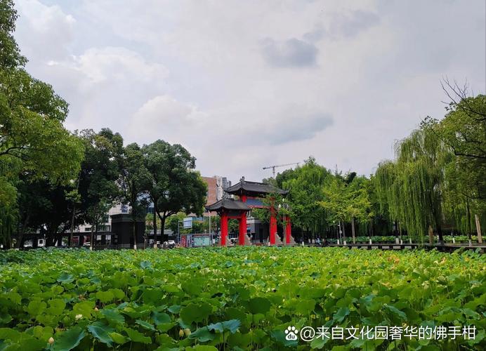 差一点擦肩而过的南信大 朋友儿子的高考故事